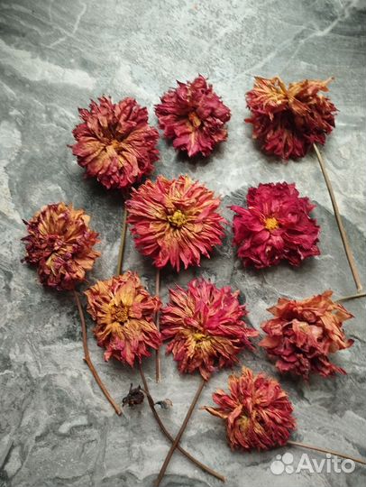 Сухоцветы для творчества эпоксидной смолы картин