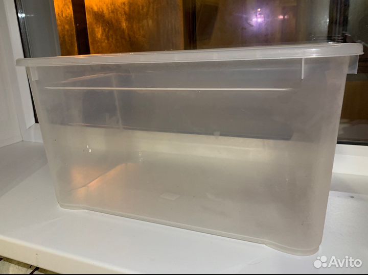 Контейнер для грызуна