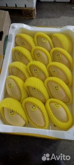 Овощи и фрукты оптом