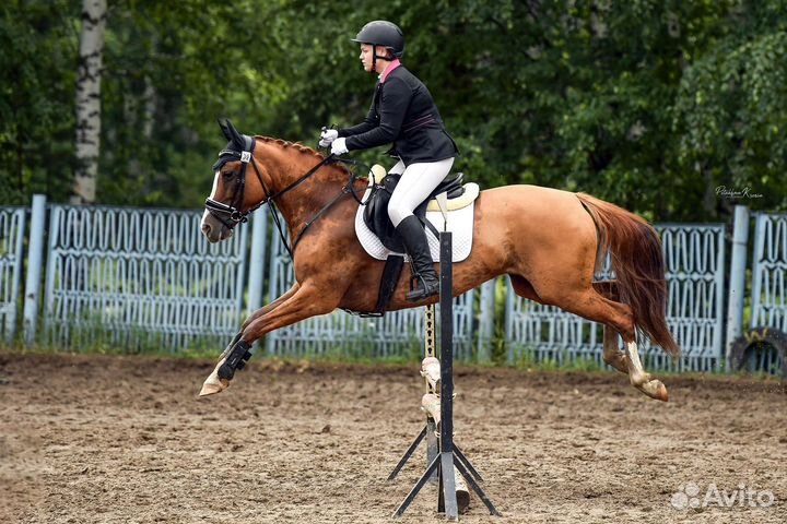 Занятия верховой ездой