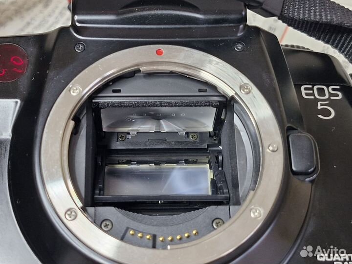 Пленочный фотоаппарат Canon EOS 5