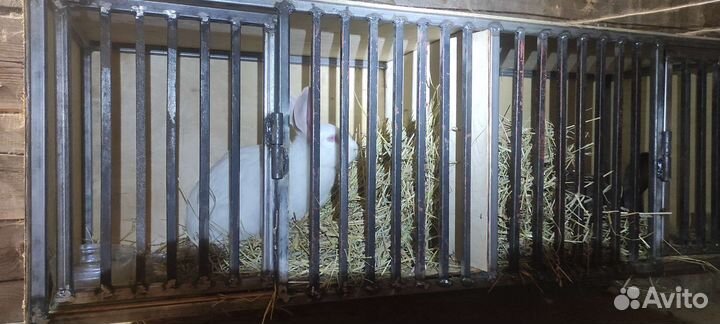 Кролятники