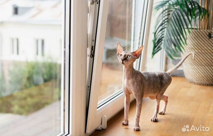 Пластиковые окна за 7 дней