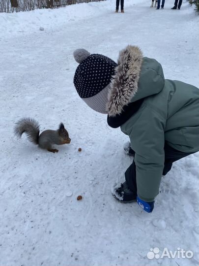 Шапка lassie 48 демисезон зима