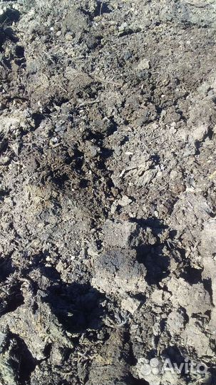 Конский навоз, перегной