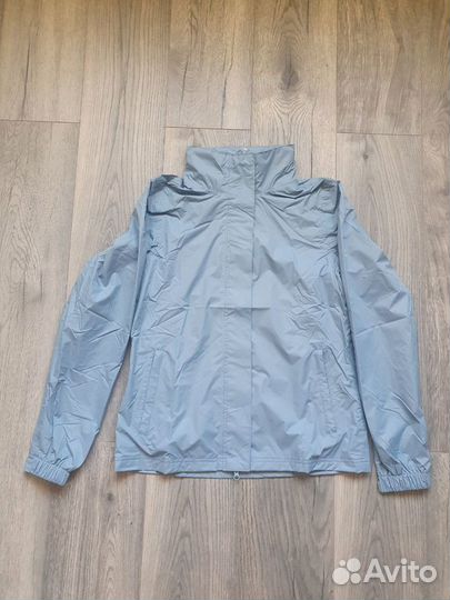 Бриджи, легинсы для конного спорта