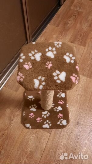 Когтеточка