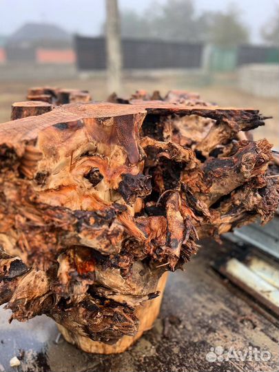 Слэб карагач