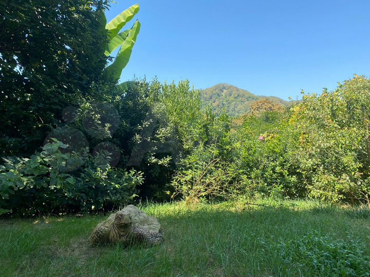 Дом 120 м² на участке 9 сот.