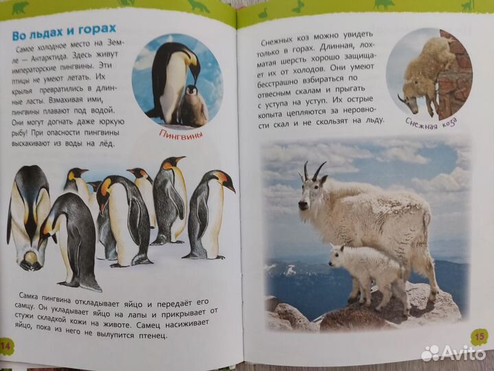 Комплект детских энциклопедий Аванта и Росмэн