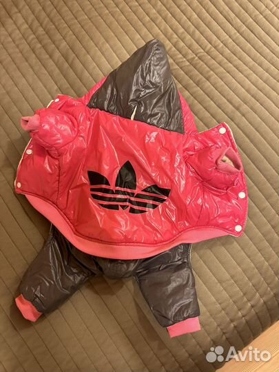 Костюм для собаки