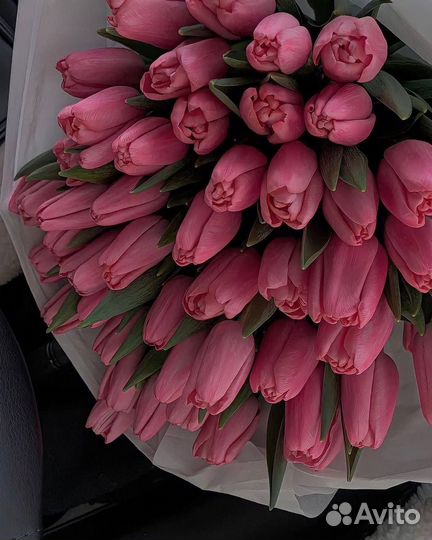 Тюльпаны к 8 марта