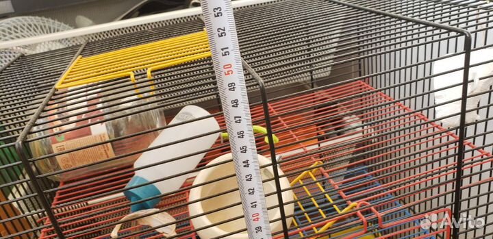 Клетка для крыс 49*40*27 см