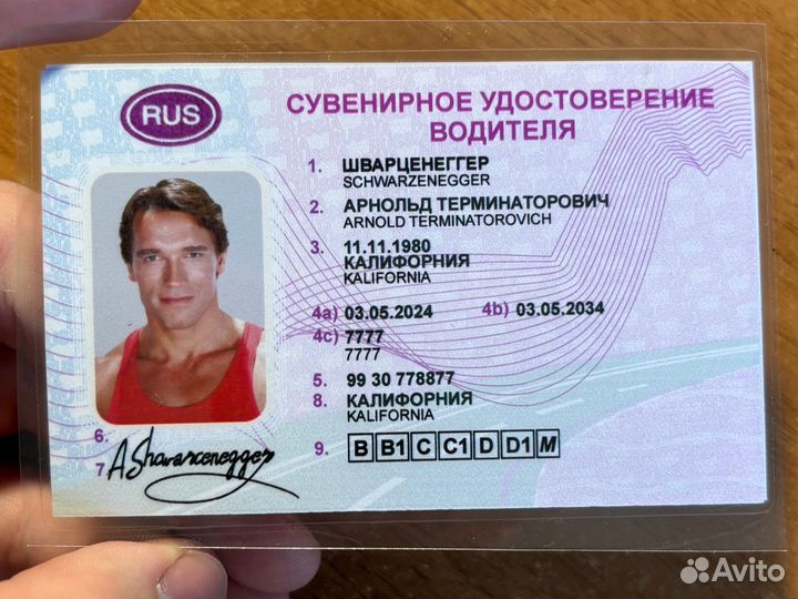 Сувенирные права прикол кинореквизит