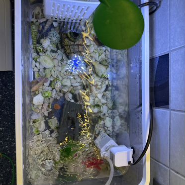 Аквариум с рыбками 15 лит