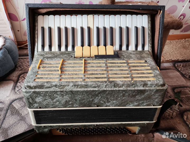 Аккордеон 