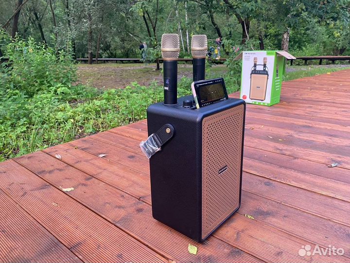 Bluetooth колонка с караоке