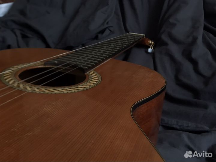 Классическая гитара kremona soloist s65c