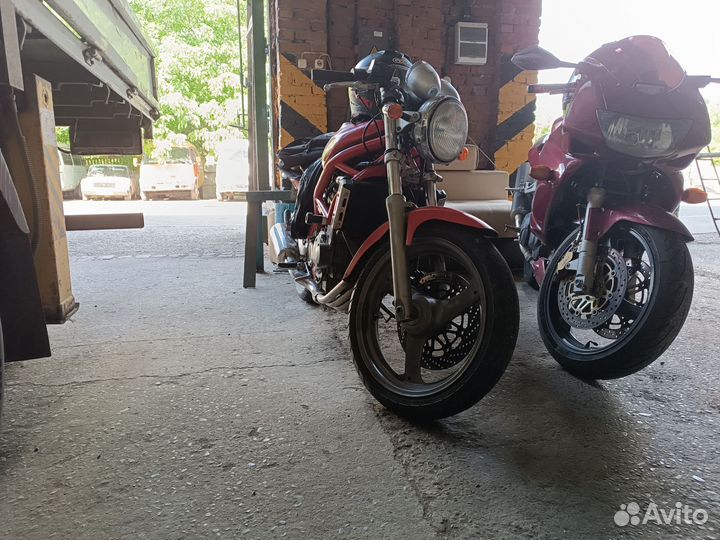 Suzuki bandit gsf 250