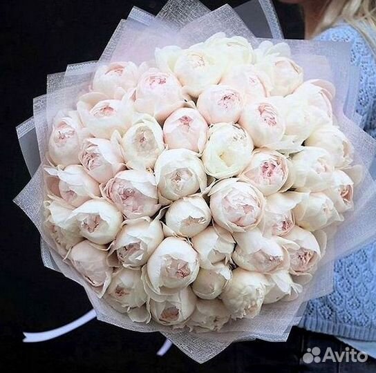 Пионы Букет пионов