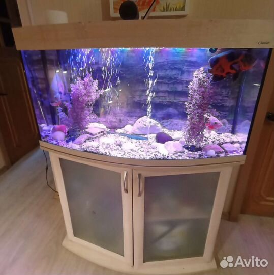 Аквариум с тумбой 175 литров