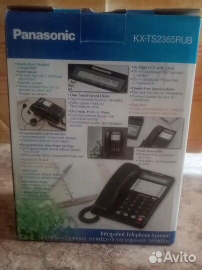 Panasonic