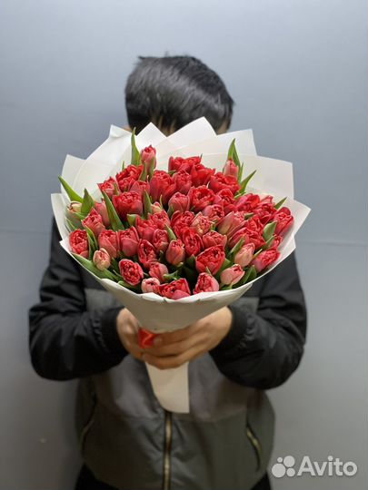 Тюльпаны 101 штук 51штук 25штук