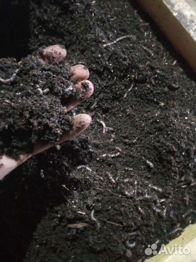 Биогумус,вермикомпост