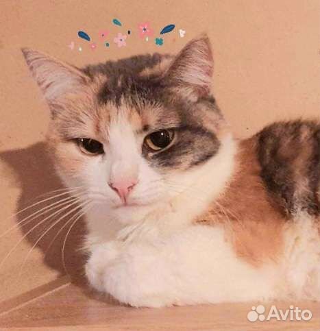 Ася добрая И милая