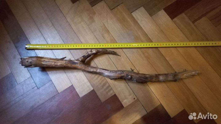 Коряга в террариум