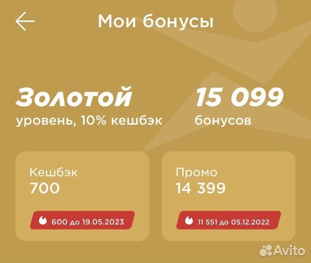 Бонусы спортмастер