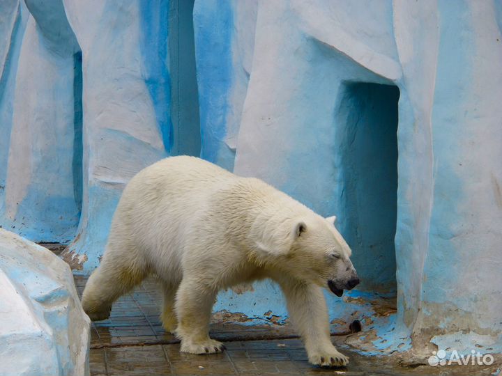 Тур выходного дня в Аквапарк Новосибирска