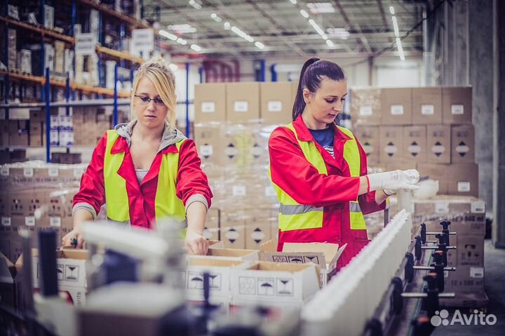 Стикеровщик Вахтой в Москве