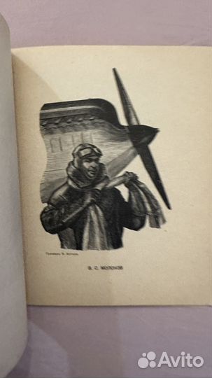 Борьба за Арктику. Поход Челюскина