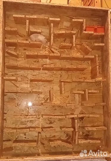 Лабиринт для хомяка с клеткой