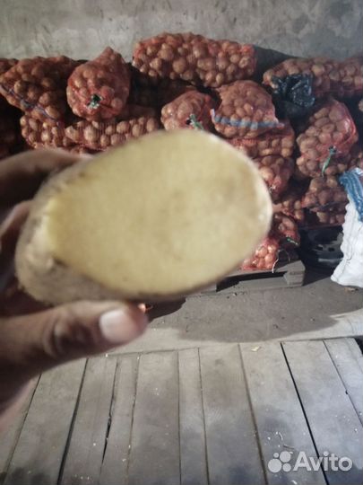 Продам картофель
