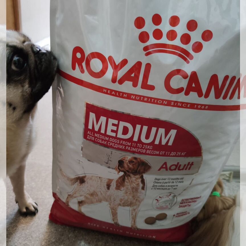 Корм для собак Royal canin, Alleva