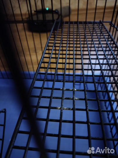 Клетка для грызунов бу