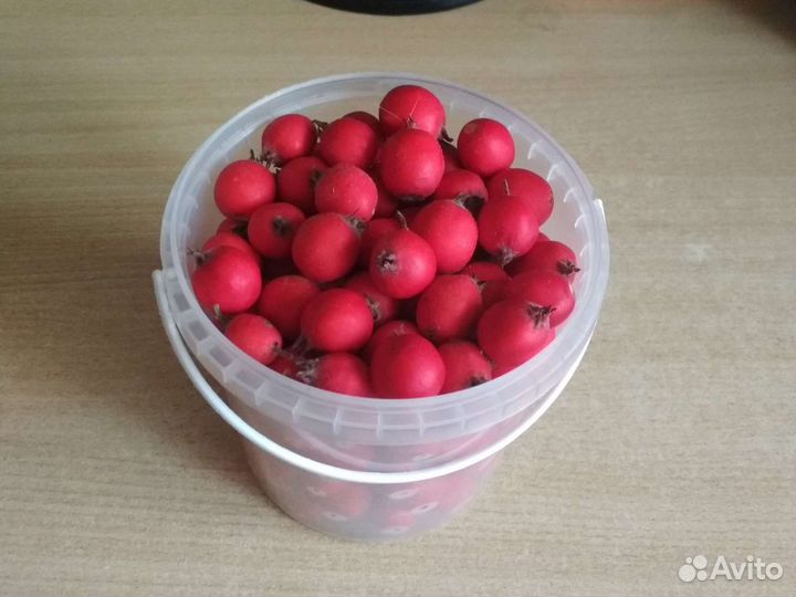 Боярышник Арнольда, ягоды