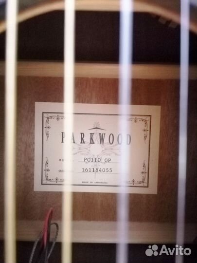 Гитара с комбоусилителем