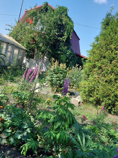 Дача 49 м² на участке 4 сот.