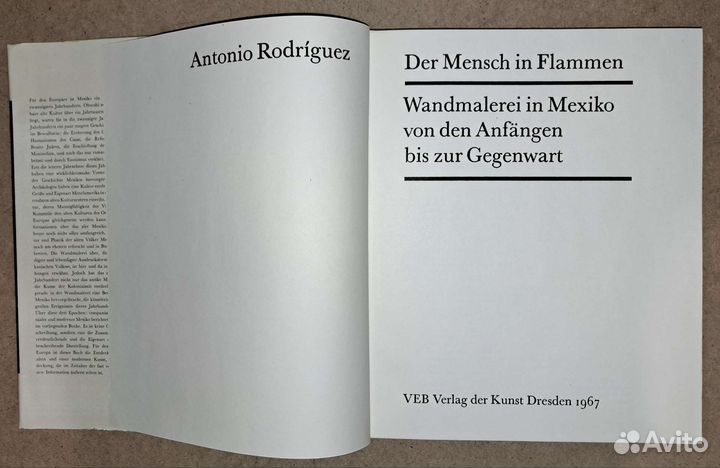 Родригез. Человека в огне. Мексиканские рисунки