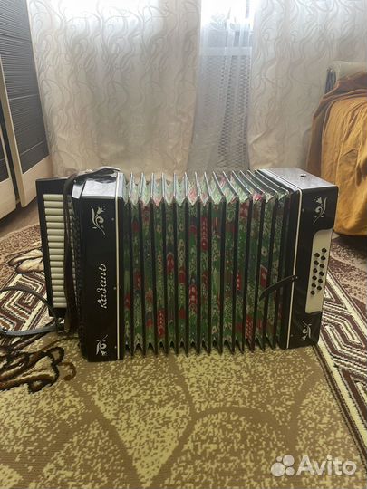 Татарская гармонь 