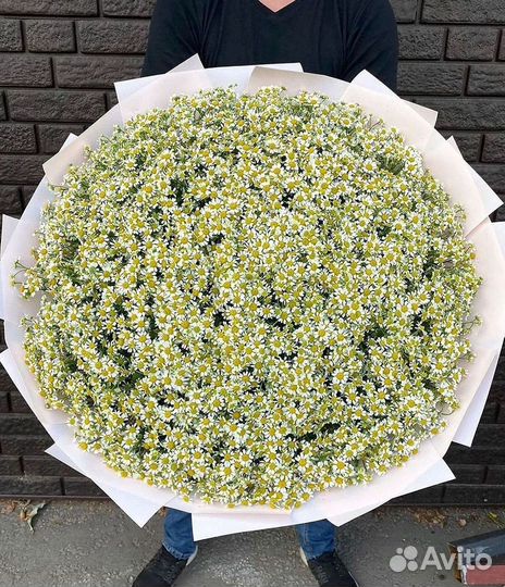 Букеты. Доставка ромашек