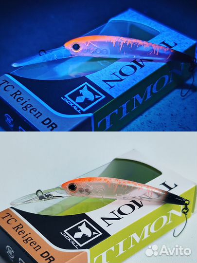 Jackall Timon TC Reigen DR