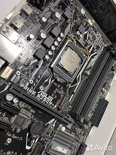 Asus LGA1151 B250 Prime B250M-A