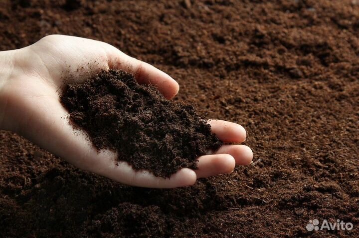 Плодородная земля в мешках