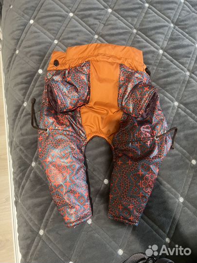 Одежда для собак