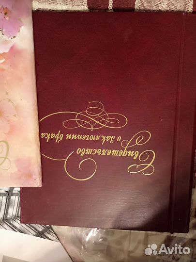 Папка для документов 2 шт