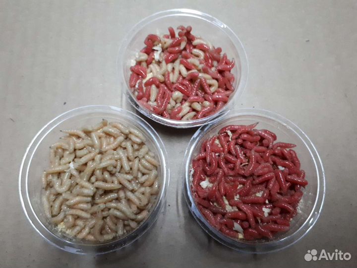 Опарыш отборный